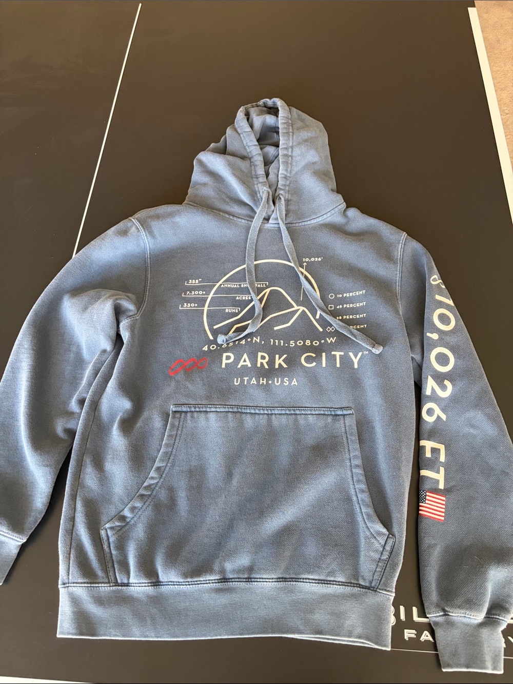 Oura Park City Graphic Hoodie - Blue